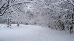 Footprints in the snow