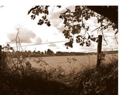 Marriotts way Wallpaper