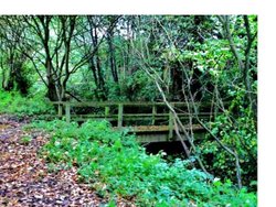 Marriotts way Wallpaper