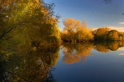 Lake reflections Wallpaper