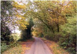 Sauncey Wood / Common Lane - Harpenden - Autumn 2008