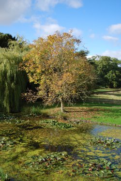View from the garden at Hanbury Hall