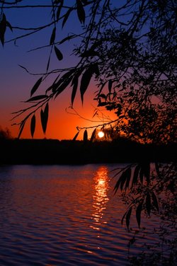 Silhouette