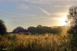 Shillingstone in Dorset Wallpaper