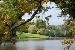 The lake at Witley Wallpaper