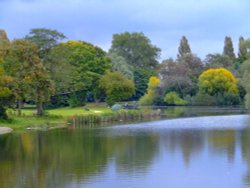 A lovely spot for some fishing Wallpaper