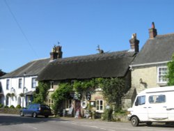 Skippy in context Wallpaper