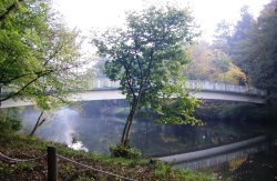 River Derwent Wallpaper