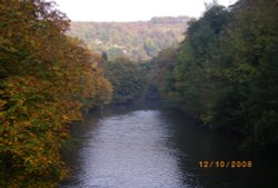 River Derwent Wallpaper