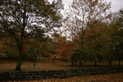 The Old Burial Ground St. Mary's Church - Barnsley Wallpaper