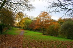 John Smith's Park Wallpaper