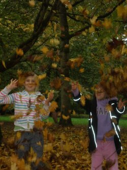 Great Fun!  25.10.08