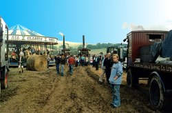 Berwick St. John Country Fair Wallpaper