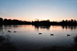 Thatcham, Berkshire Wallpaper