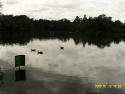 Hartsholme Country Park Wallpaper
