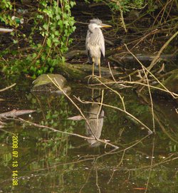 Hartsholme Country Park