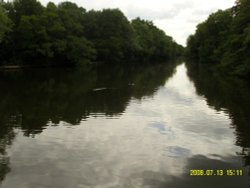 Hartsholme Country Park Wallpaper