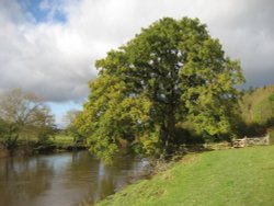 Dudmaston Hall Wallpaper