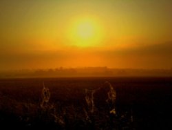Misty Morn