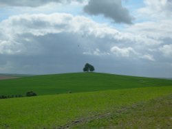 Brightwell Barrow near Wittenham Clumps