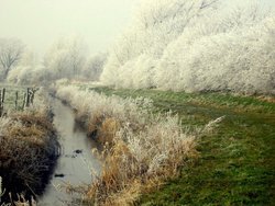 Remember Winter? Wallpaper