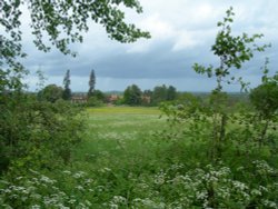 Little Wittenham