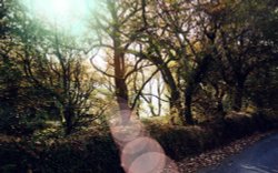 Views of County Cork Wallpaper