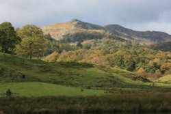 Elterwater Wallpaper