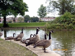 Attention!! Wallpaper