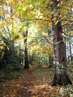 Nunnery Lane