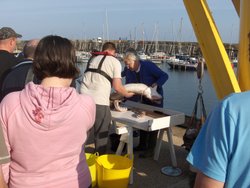 The one that DIDN'T get away........ Scarborough harbour Wallpaper