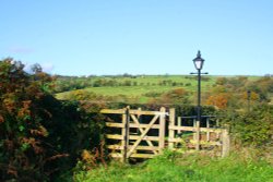 Knowle Green Wallpaper