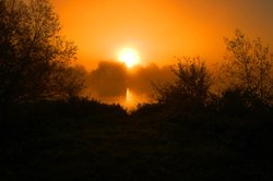 Golden sunrise Wallpaper