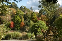 Autumn at Hillier Gardens in Hampshire