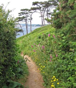 Footpath on St.Anthony's Head, near St.Mawes