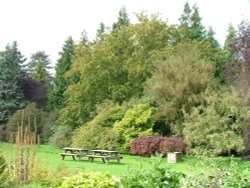 Thorp Perrow Wallpaper