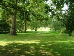 Thorp Perrow Wallpaper