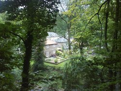 Peeking in the back yard Wallpaper