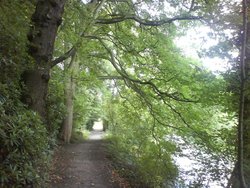 Canal Side Walk