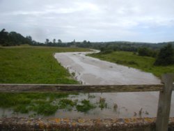The river at Alfriston Wallpaper