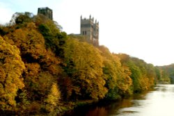 Autumn colours along the riverside. Wallpaper