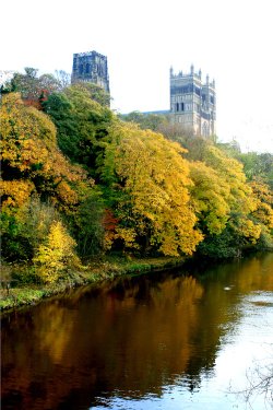 Autumn colours along the riverside.