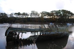 Noah's Ark Wallpaper