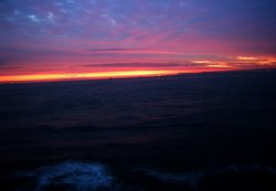 First of the day Wallpaper