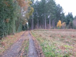 Around Silchester Wallpaper