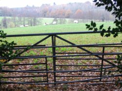 Around Silchester Wallpaper