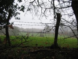Around Silchester (in the rain) Wallpaper