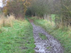 Around Silchester - even more mud Wallpaper