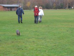 End of the Walk Wallpaper