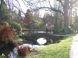 Gardens at  Wakehurst Place Wallpaper